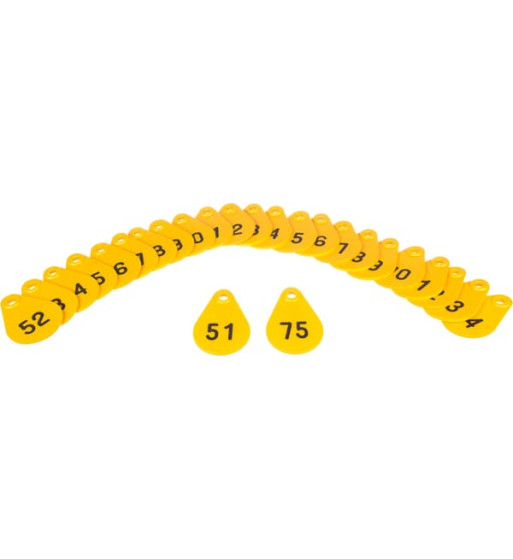 3990500000025175