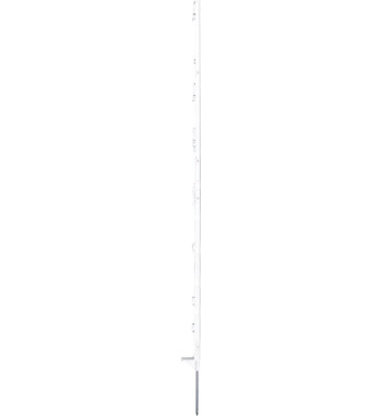 443412P005