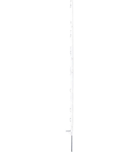 443412P005