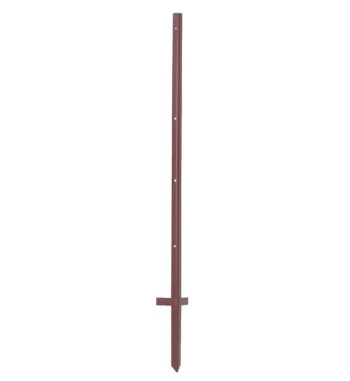 444213P010