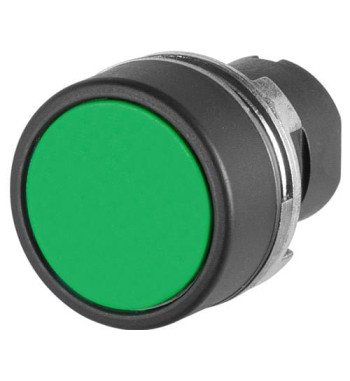 020PPIV