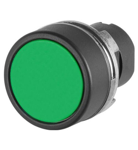 020PPIV