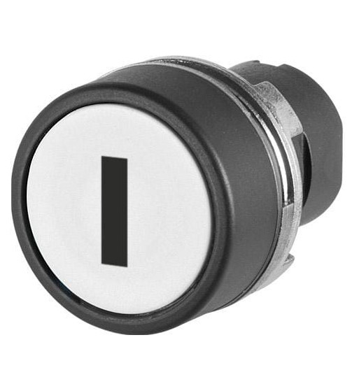 020PIBS43 020PIBS43