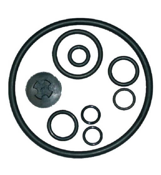 49005511 49005511