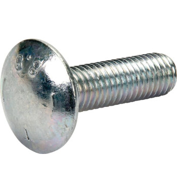 50007300