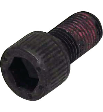 50002900