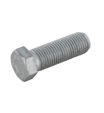 50069600