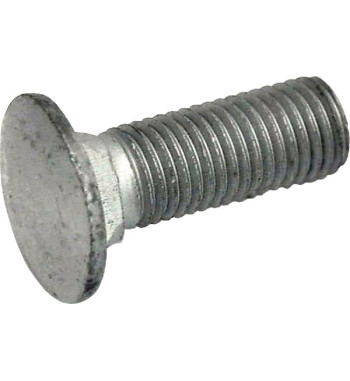 50074100