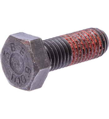 50065000