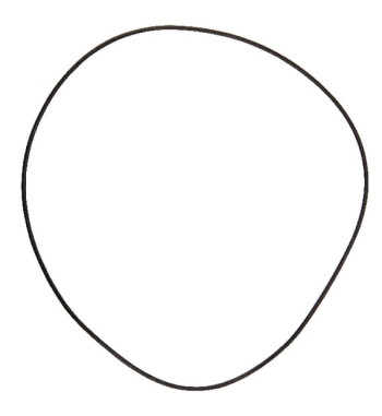 5019066100
