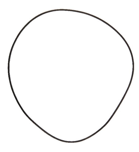 5019066100
