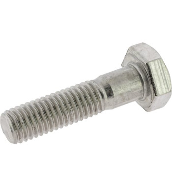 50031300