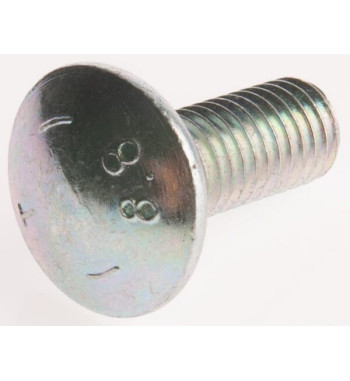 50070300