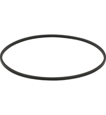 50290200