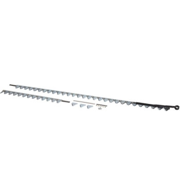 51607