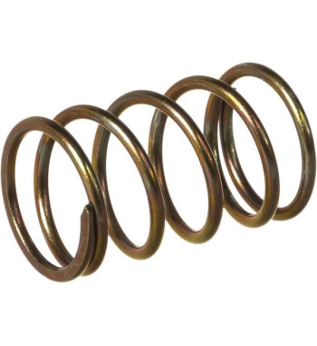 57525600