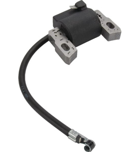 595554