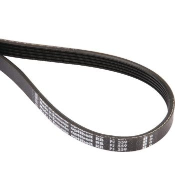 5PJ559