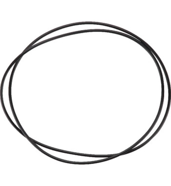 6005019079