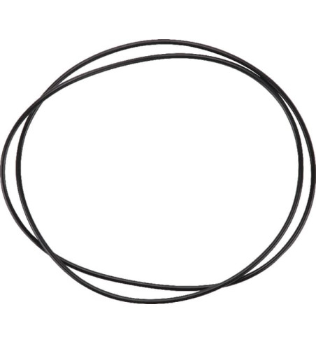 6005019079