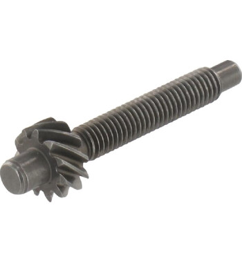 6031307