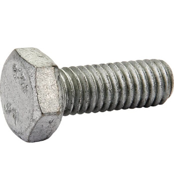 80060617