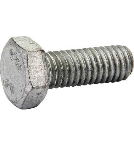 80060617