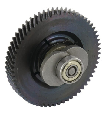 7440055