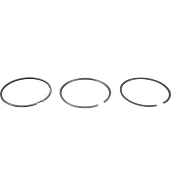 04501339