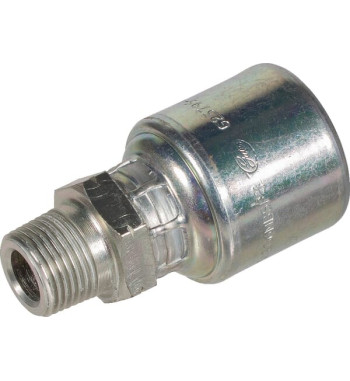 8G6MBSPT