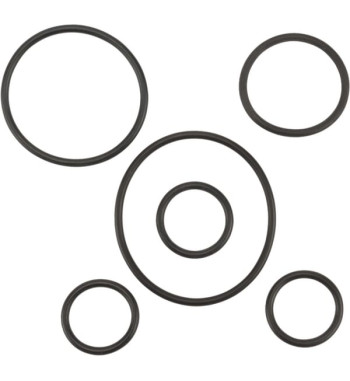 87705156