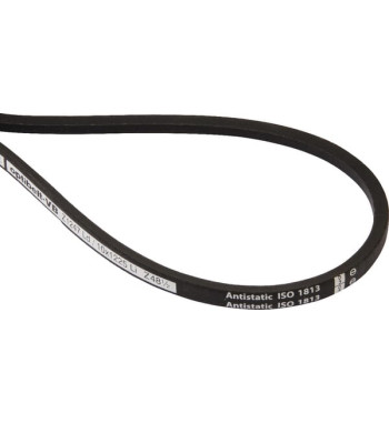 AK401428
