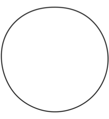 1000000369