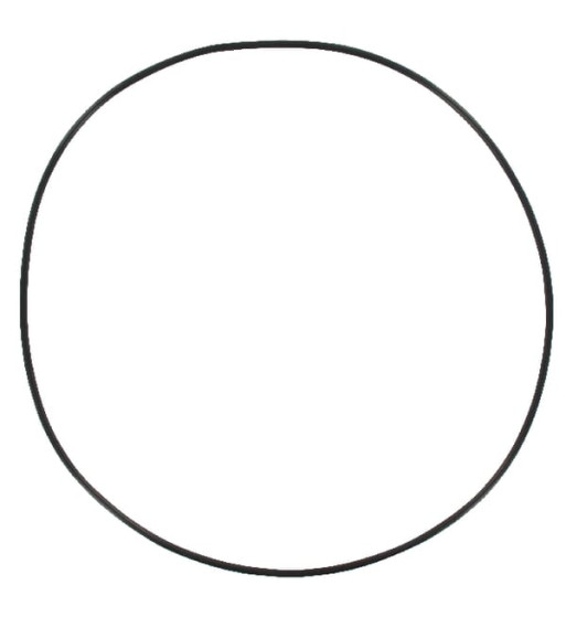 0002339520N 0002339520N