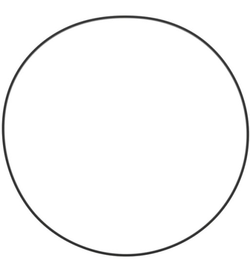 1000313191