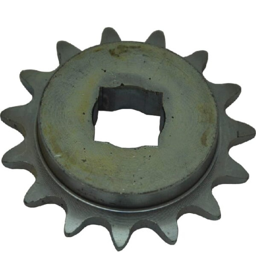G22250028R G22250028R