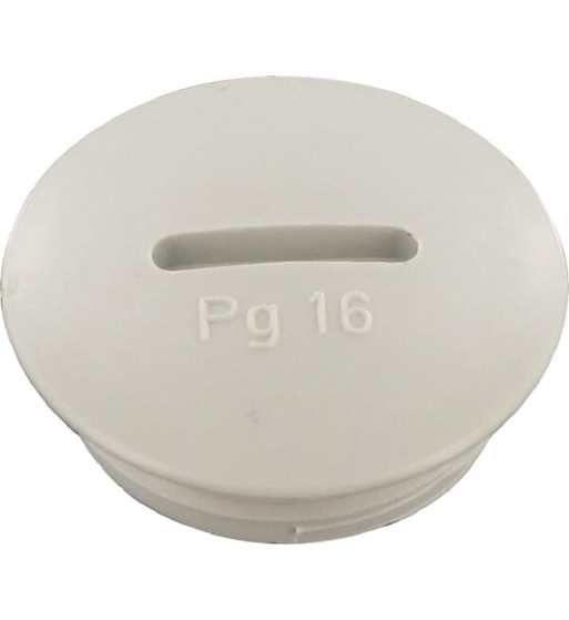 PG16B