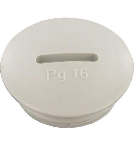 PG16B