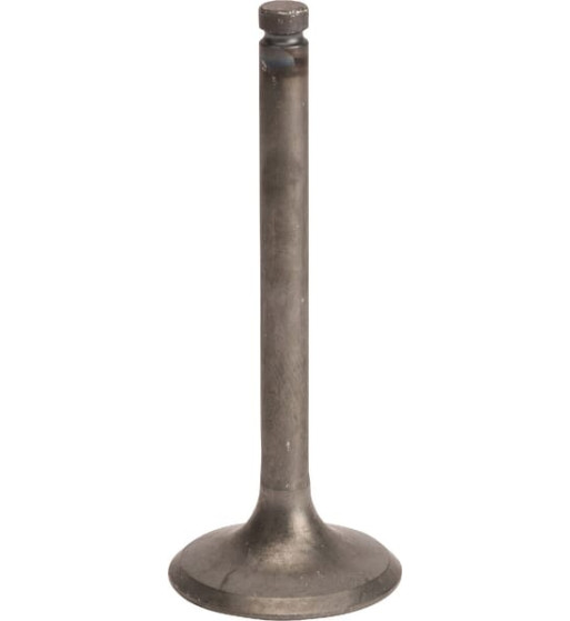 120042113