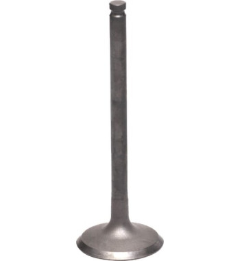 120040740