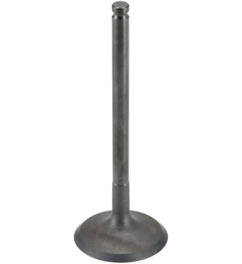 120040733