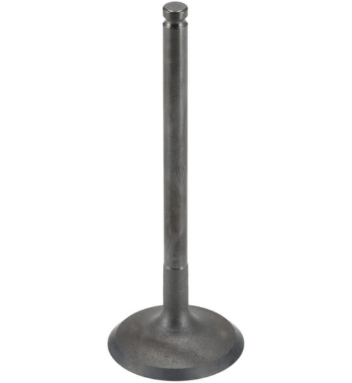 120040733
