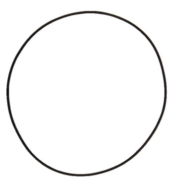 12100355