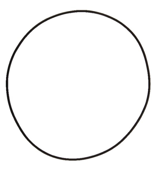 12100355 12100355