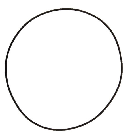 12100355