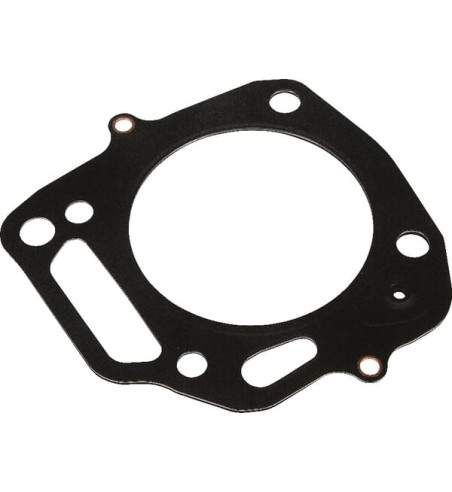 12251ZF5H03