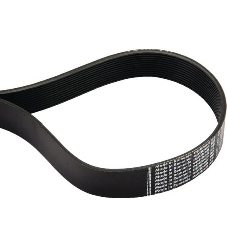 12PJ559