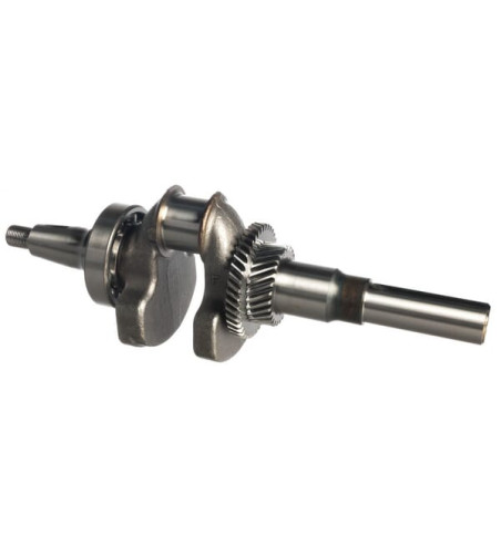 13310ZF6W12