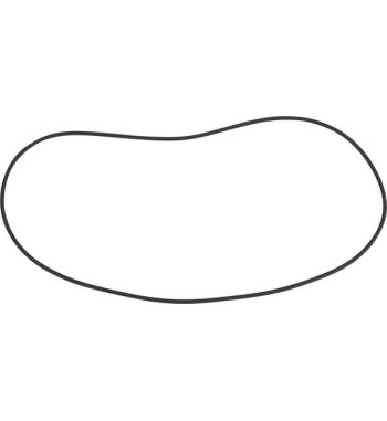 14462681