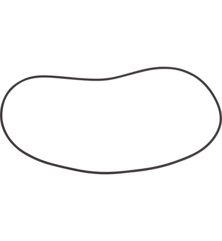 14462681